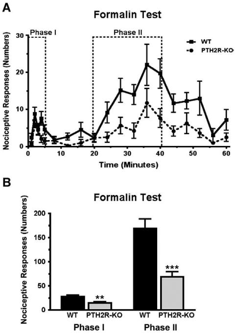 Fig. 13