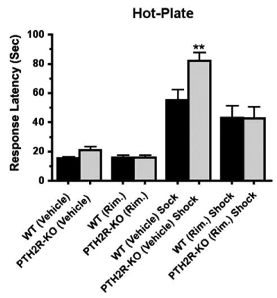 Fig. 14