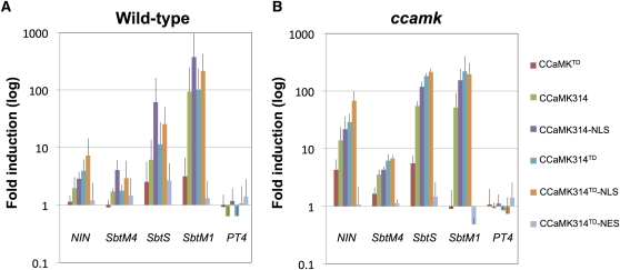 Figure 1.