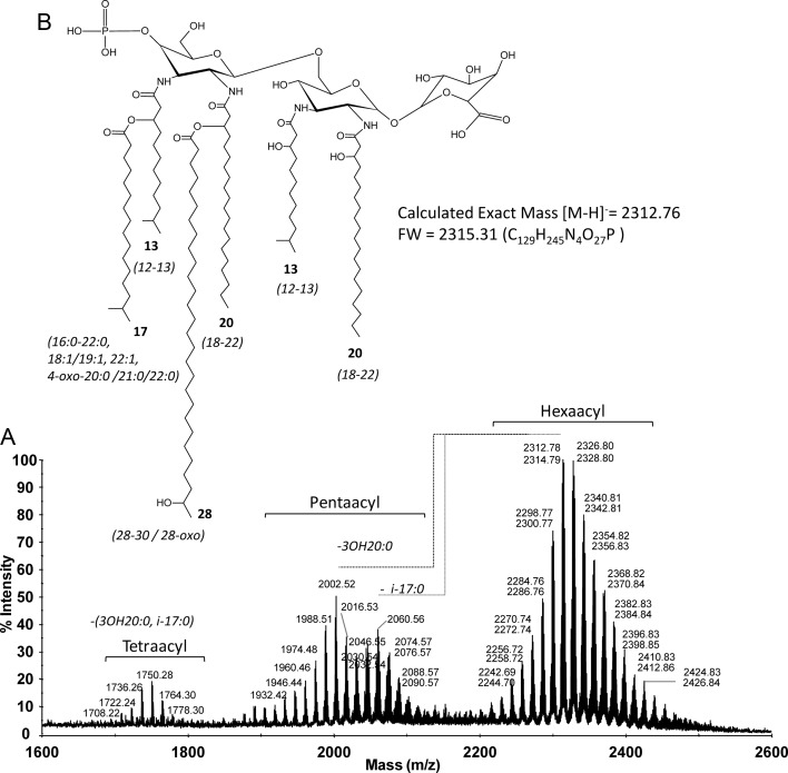 Fig. 2.