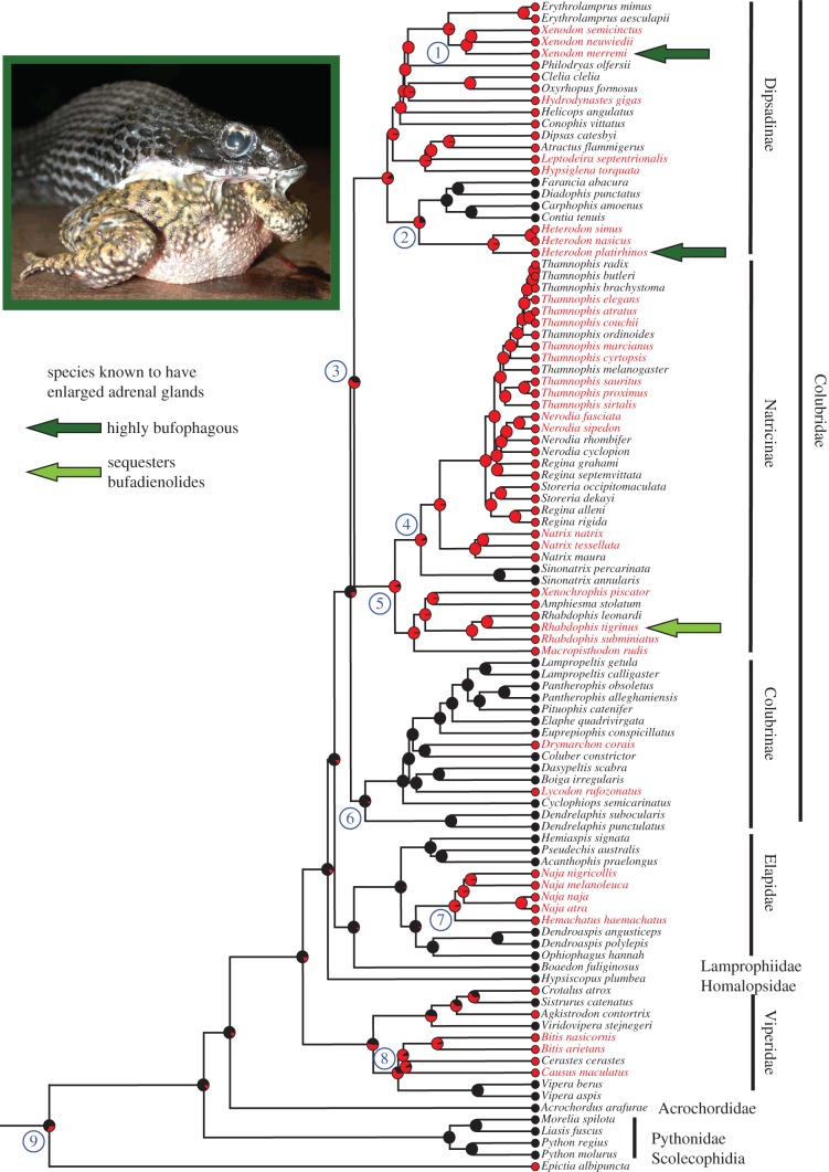 Figure 2.