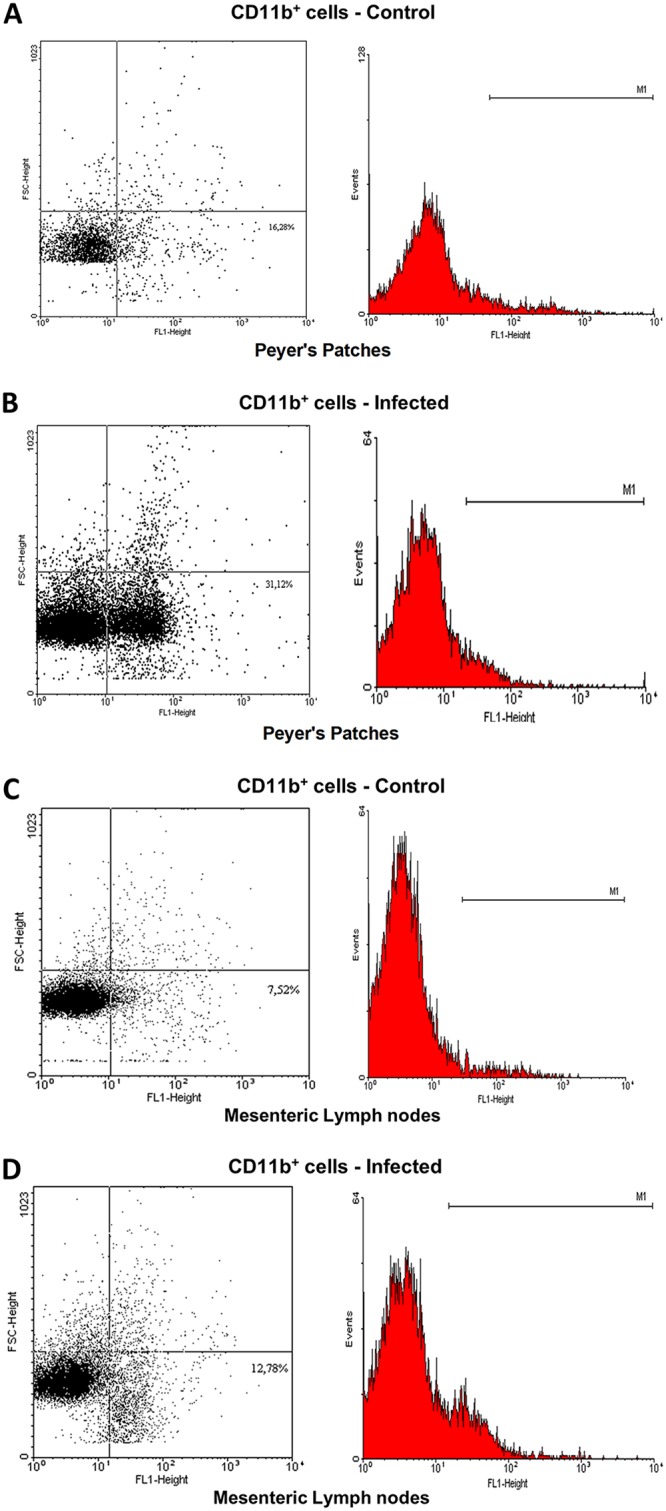 FIG 6