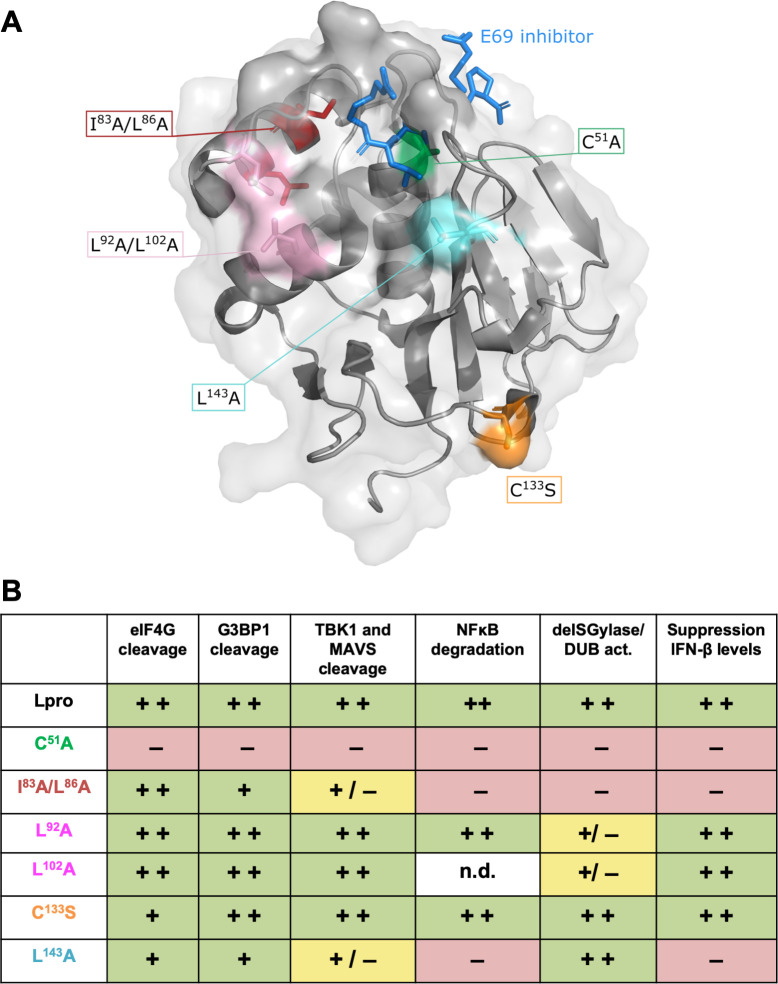 Fig 10