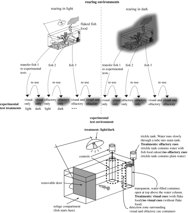 Figure 1.