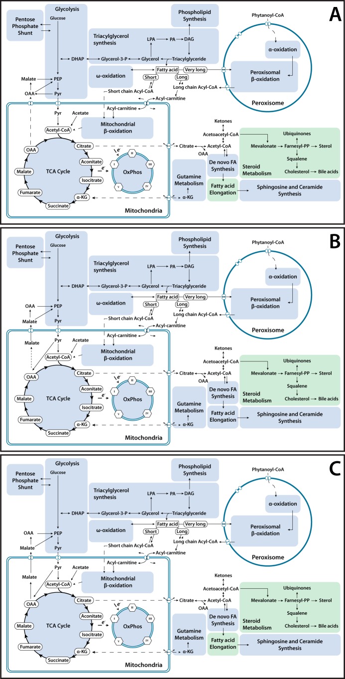 Figure 6.