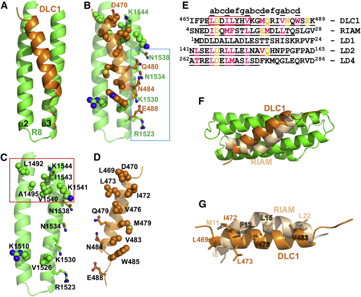 Figure 3