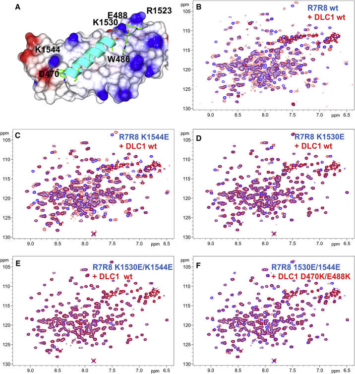 Figure 4