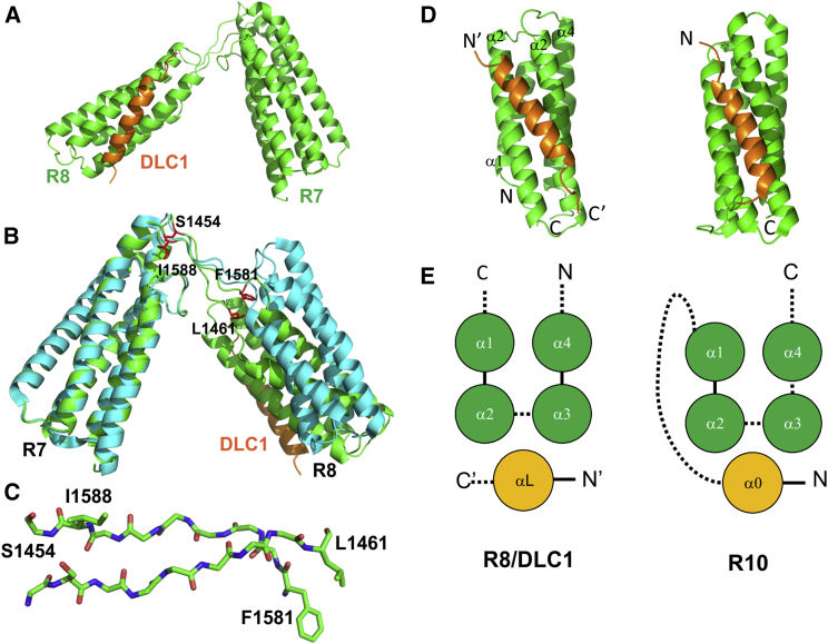 Figure 2