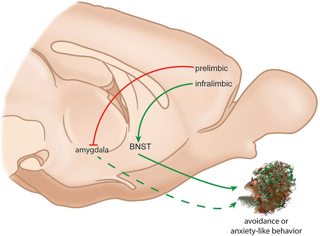 Figure 4: