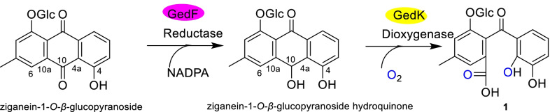 Fig. 3