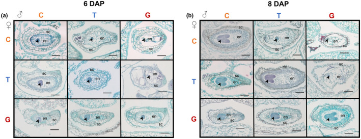 Fig. 5