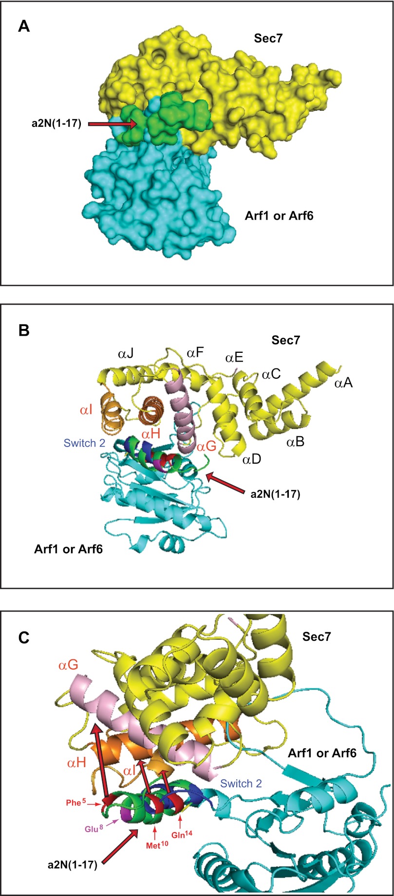 FIGURE 5.