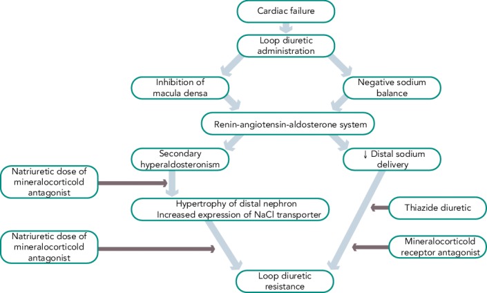 Figure 2: