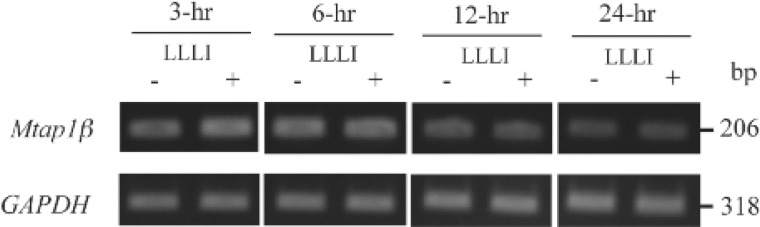 Figure 4: