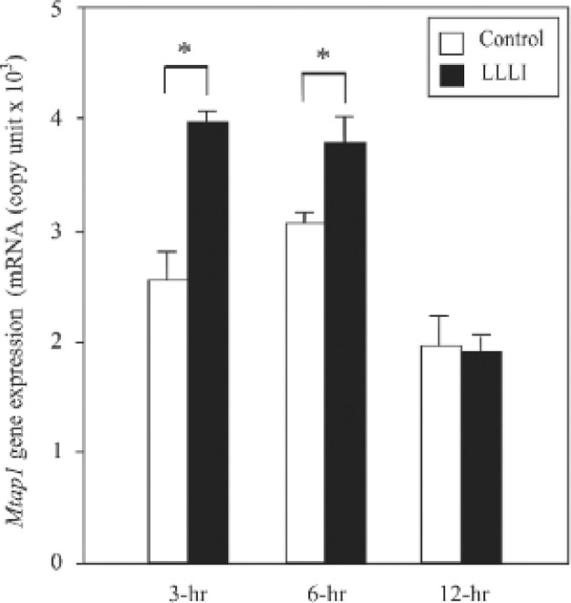 Figure 5: