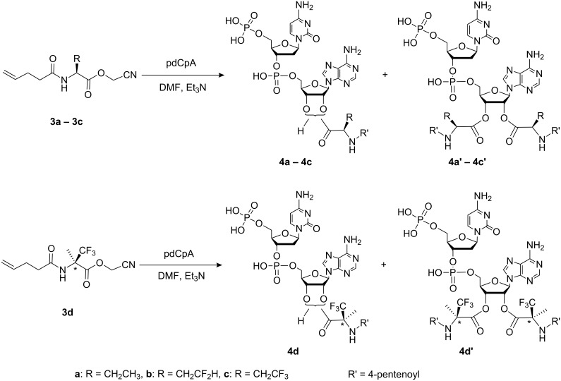 Scheme 2