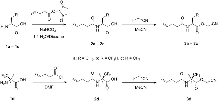 Scheme 1