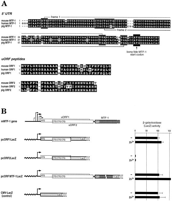 Fig 3.