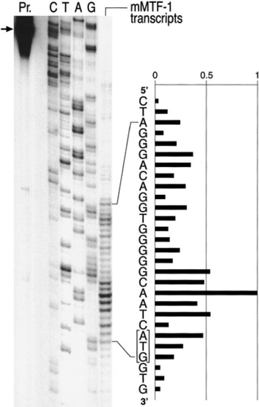 Fig 4.