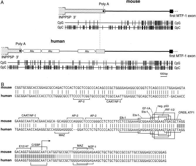 Fig 2.