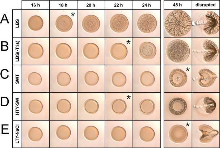 Fig 2