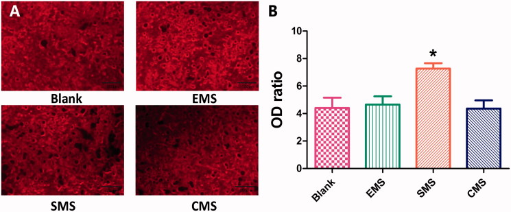 Figure 6.