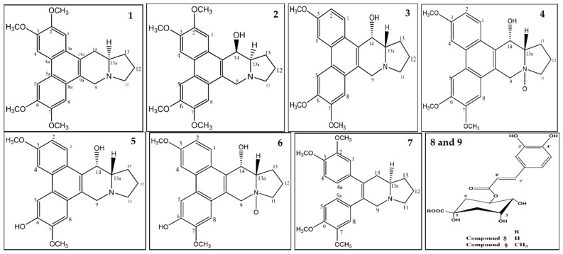 Figure 10