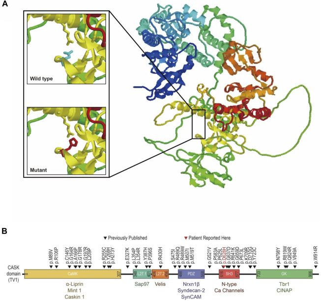 FIGURE 4