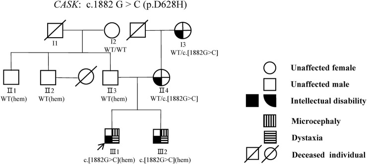 FIGURE 1