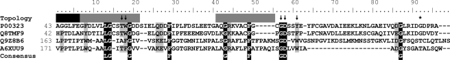 FIGURE 10.