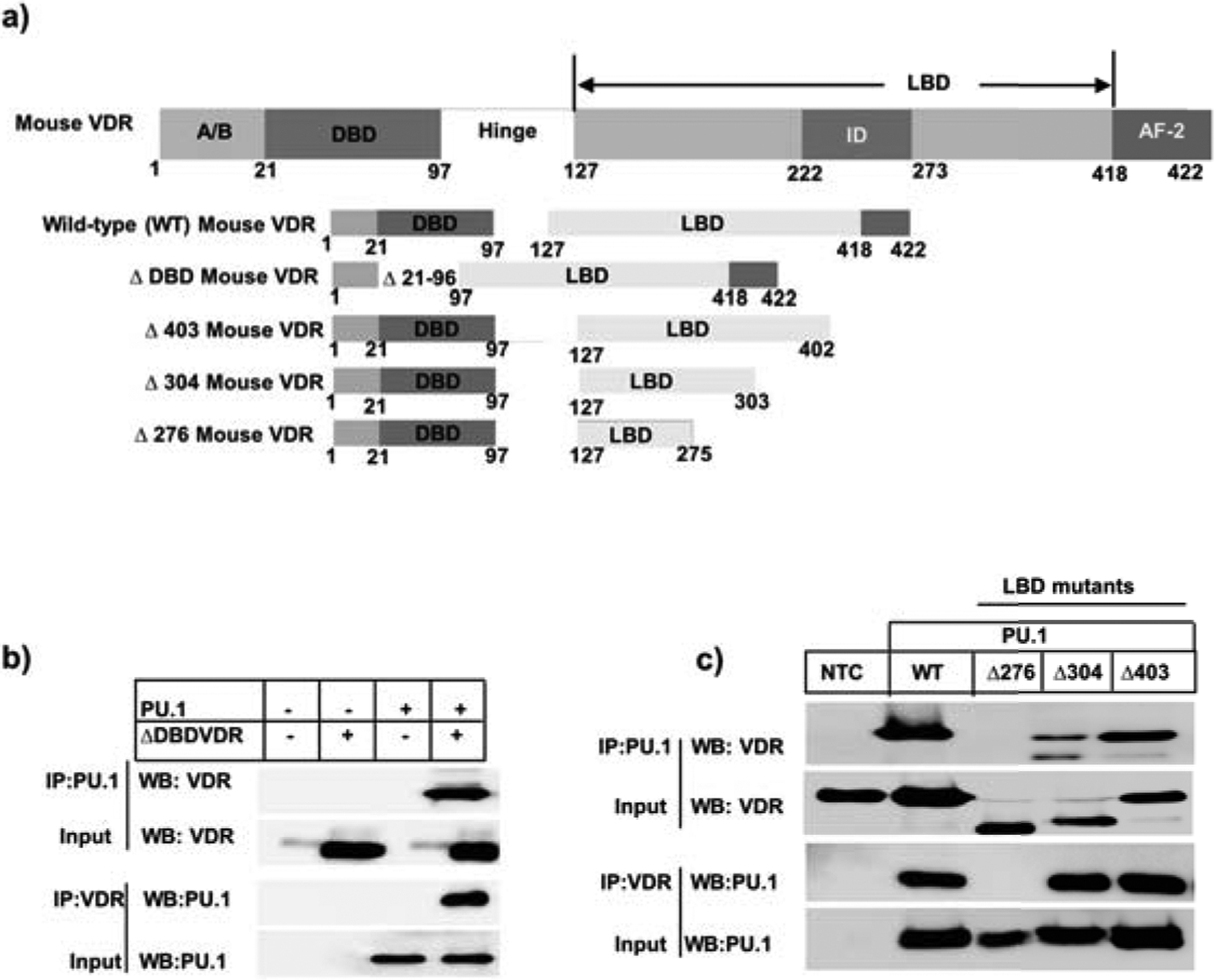 Figure 5: