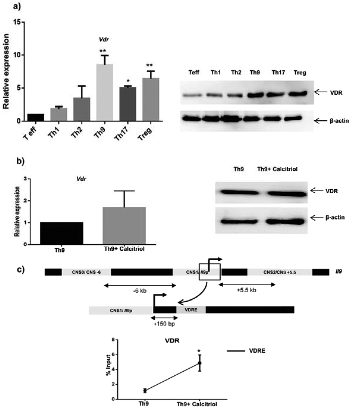 Figure 1: