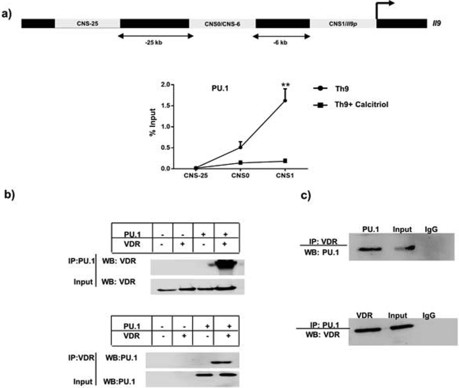 Figure 4: