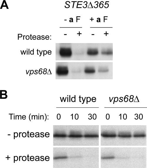 Figure 6.