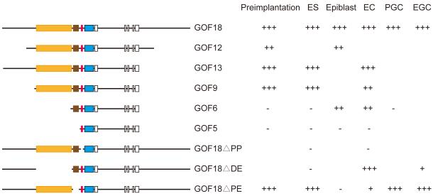 Fig.1