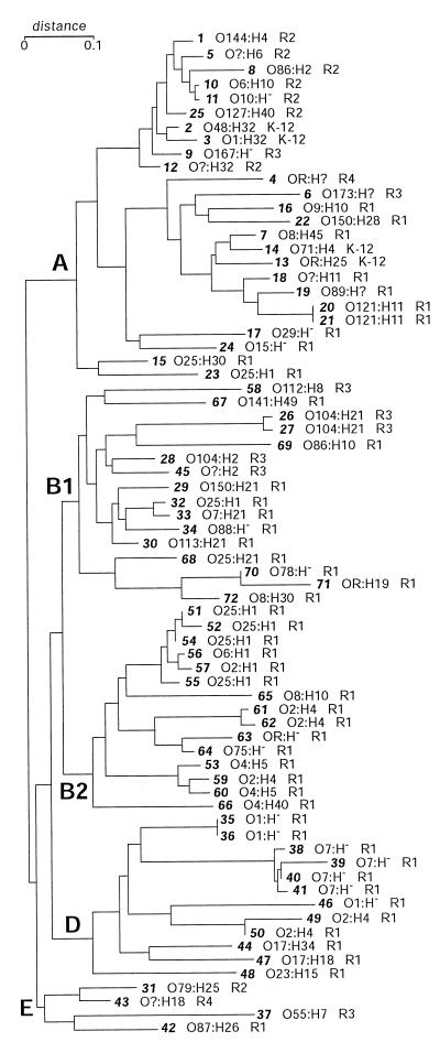 FIG. 3