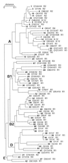 FIG. 3