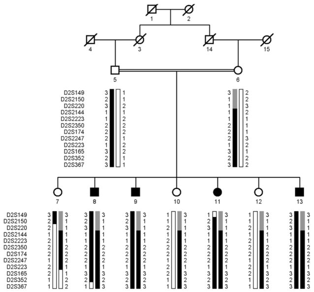 FIGURE 3