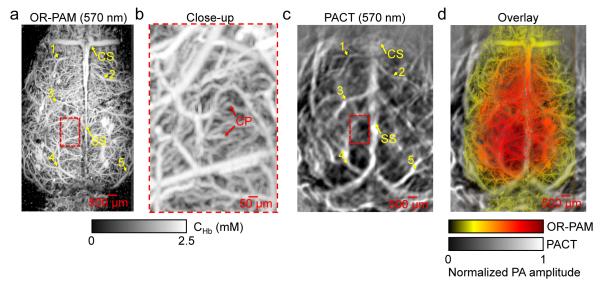 Figure 5