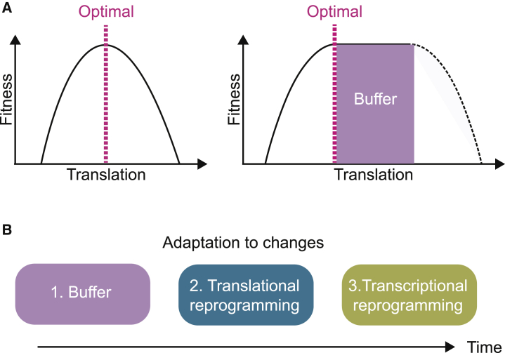 Figure 7