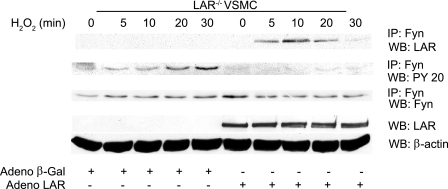 FIGURE 11.