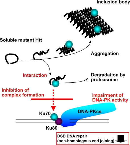 Figure 10.