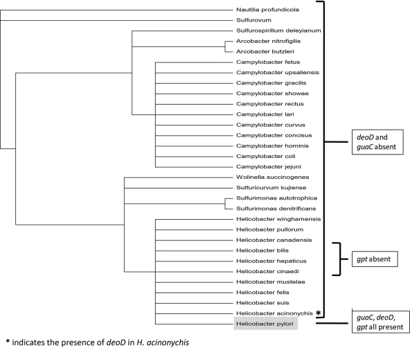 Fig 12