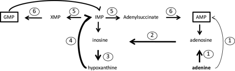 Fig 13