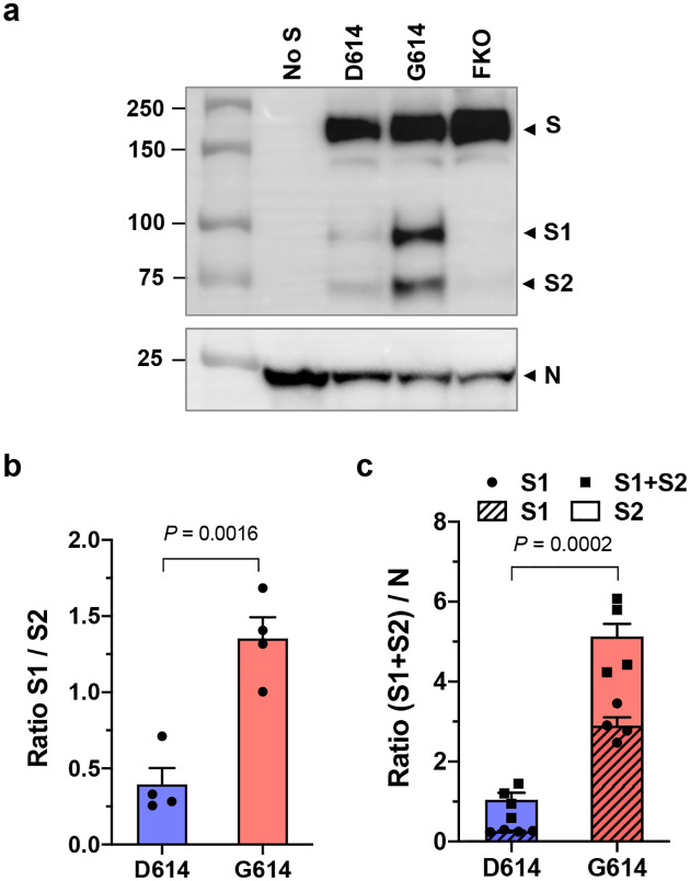 Fig. 3.