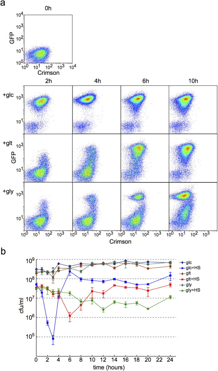 Figure 6