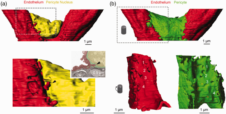 Figure 4.