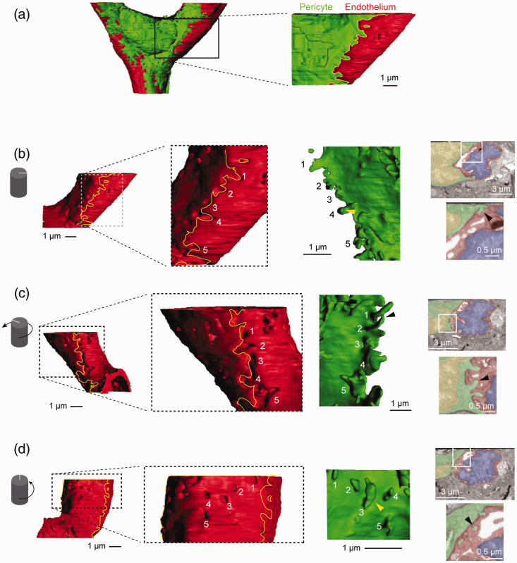 Figure 3.