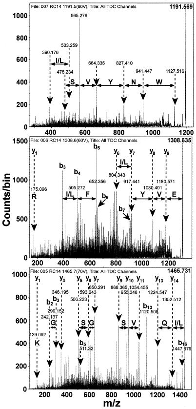 FIG. 3.