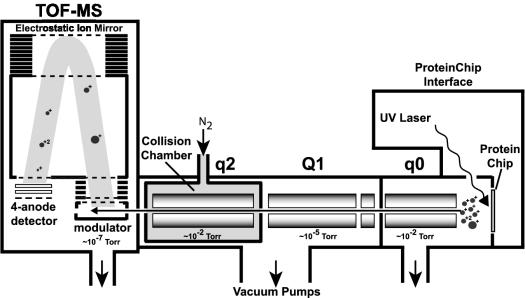 FIG. 1.